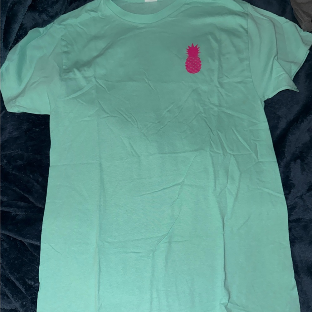 Hanes Mint Green Tee with Pink Pineapple